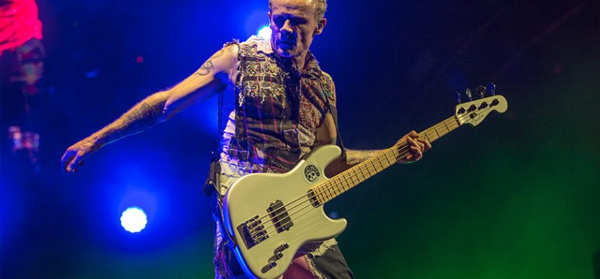 flea