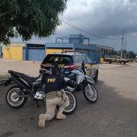 sem-titulo