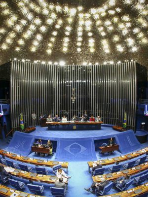 Seando Federal - Plenário. Brasilia, 08-08-2019. Foto: Sérgio Lima/PODER 360