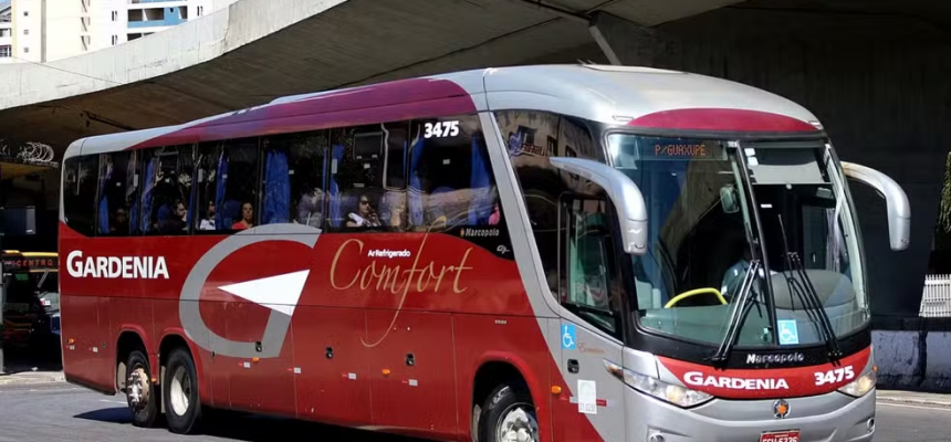sem-titulo